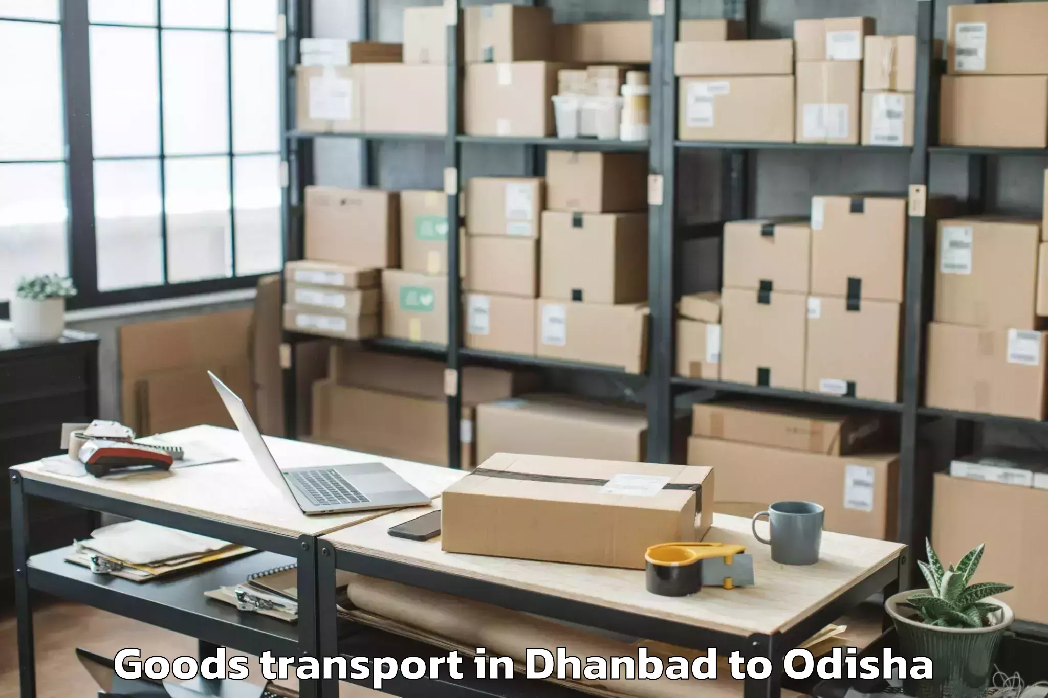 Comprehensive Dhanbad to Raibania Goods Transport